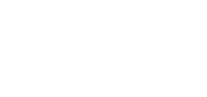 Logo Made In Miami